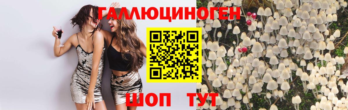 цены наркотик  Вход с VPN  Псилоцибиновые грибы прущие грибы  Приморско-Ахтарск  Псилоцибиновые грибы MAGIC MUSHROOMS 