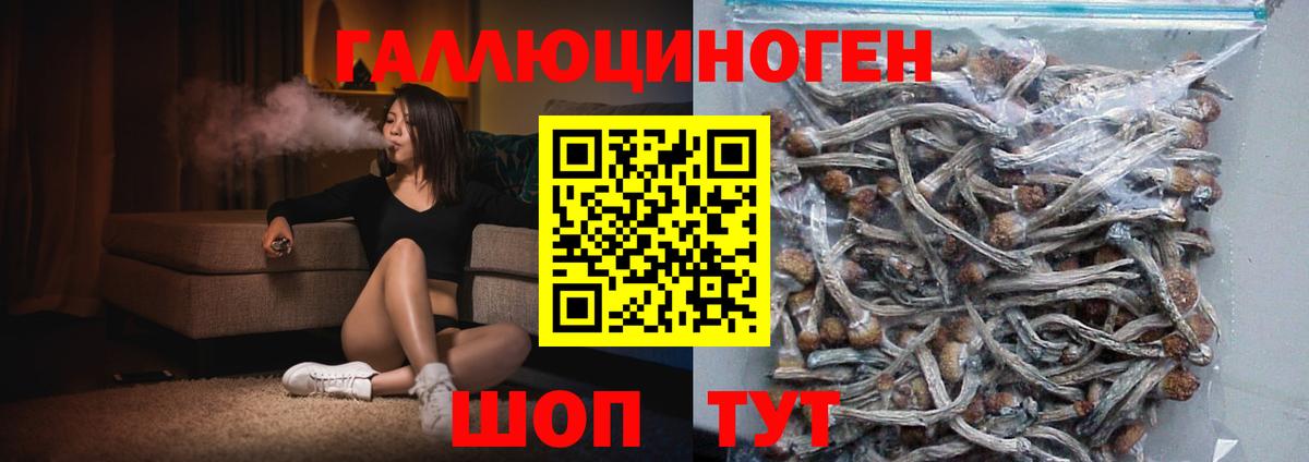 Галлюциногенные грибы GOLDEN TEACHER Приморско-Ахтарск